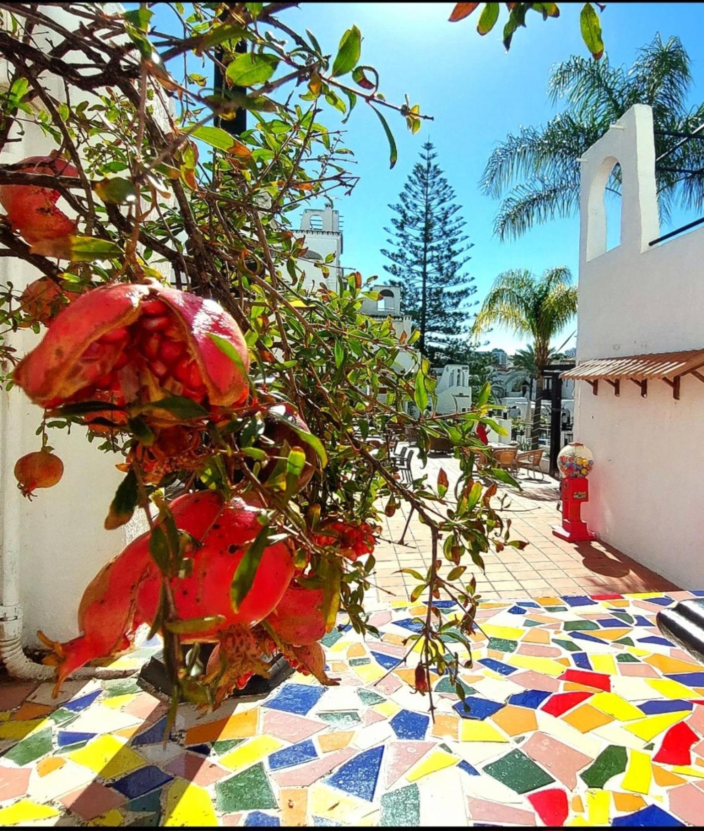 Happy Holiday Home! Pueblo Evita Charming Condo بينالماذينا المظهر الخارجي الصورة